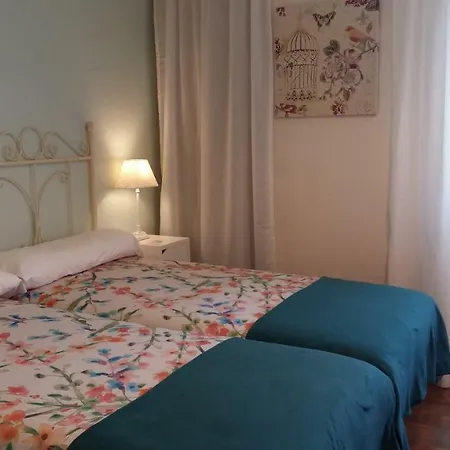 Muralla Romana 4o Planta *