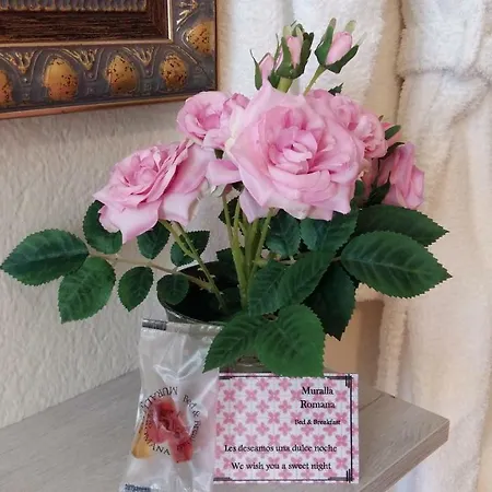 Bed & Breakfast Muralla Romana 4o Planta Lugo